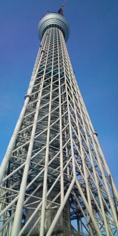 20110101_1.jpg