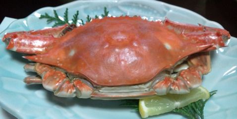 20120309_4.jpg