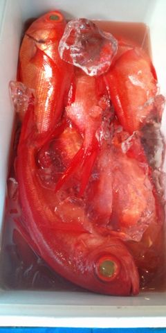 20120410_10.jpg