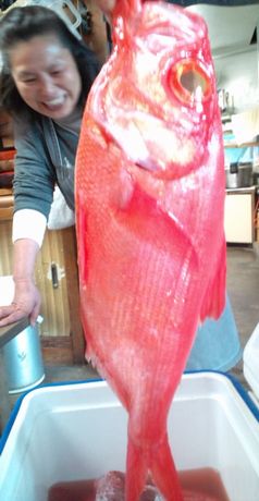 20120410_11.jpg