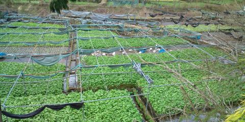 20120410_4.jpg