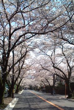 20120410_6.jpg