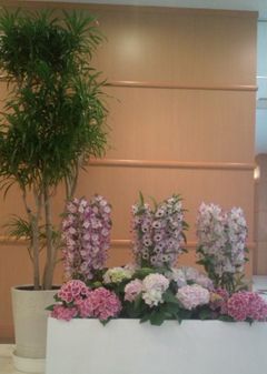 20120411_6.jpg
