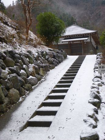 20130102_2.jpg