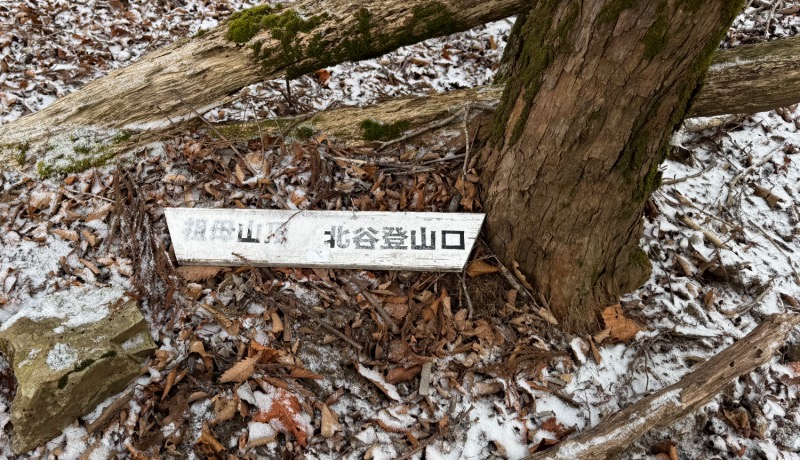 20241224_4.jpg