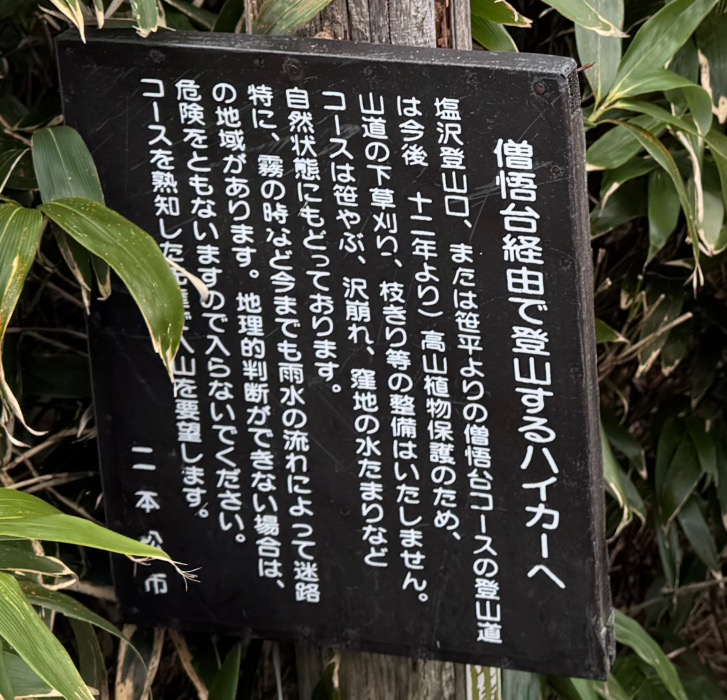 20250630_51.jpg