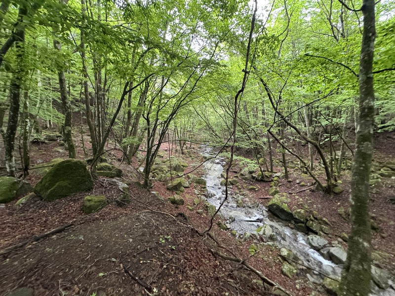 20260710_5.jpg